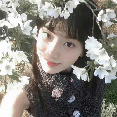 查克拉 封面